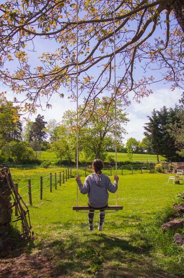 Domaine De Bauzit Bed & Breakfast Vals-pres-le-Puy Bagian luar foto